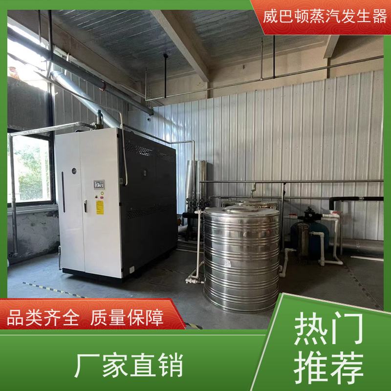  烘干熨烫 高压蒸汽锅炉 热效率 101% 还省气 大棚恒温