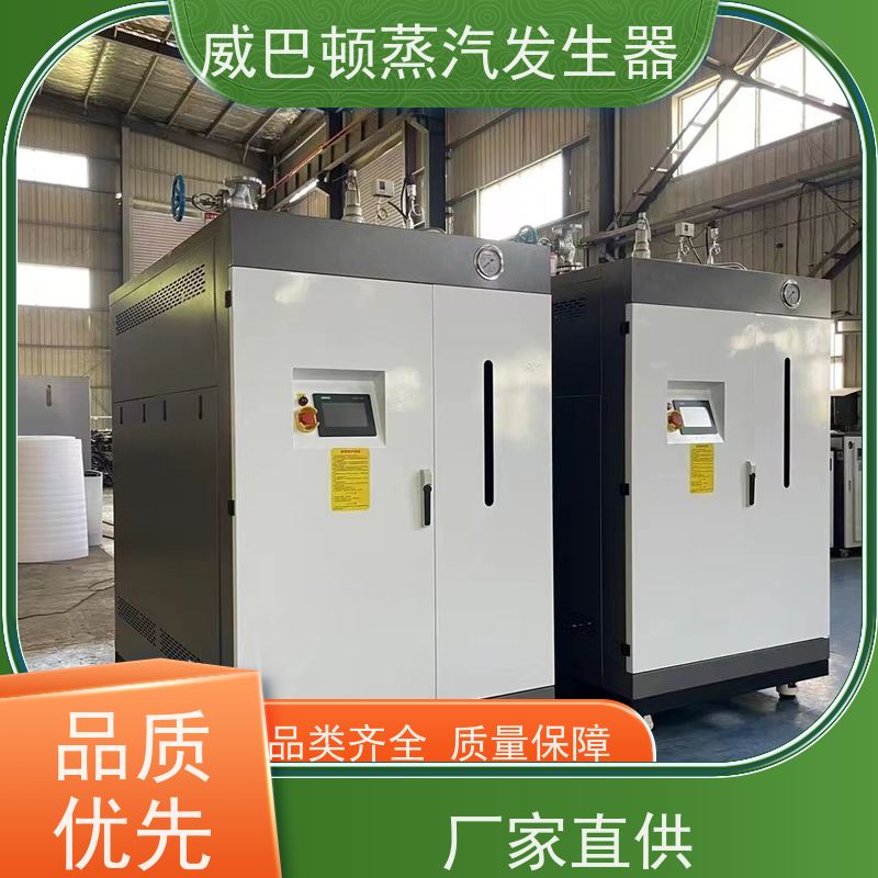  洗涤熨烫 0.3T蒸汽发生器 水容积≤30L，合规又省心 印染厂