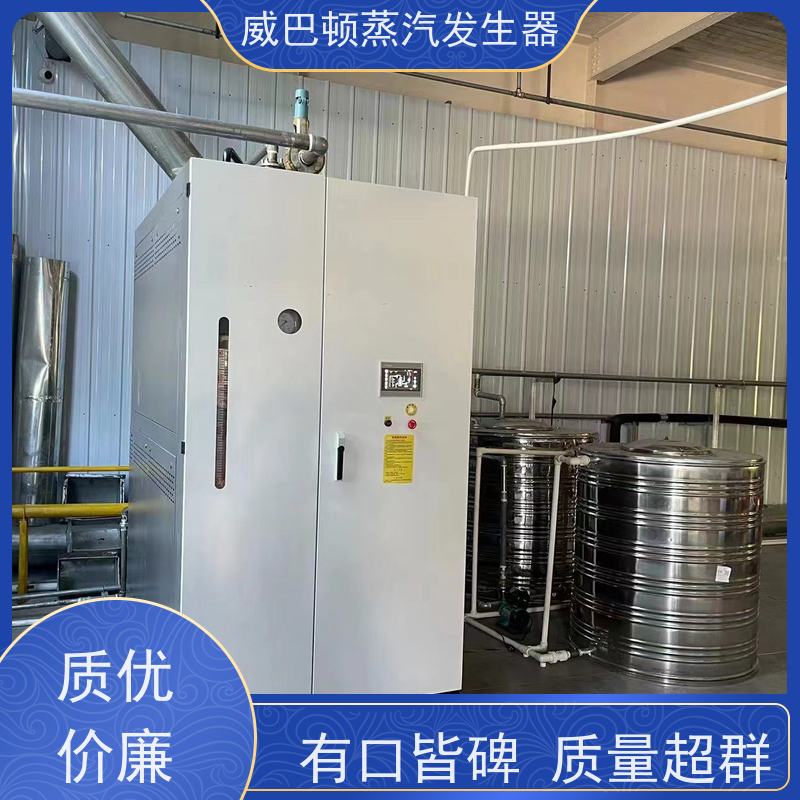  食品级 立式蒸汽锅炉 水容积≤30L，合规又省心 饲料行业
