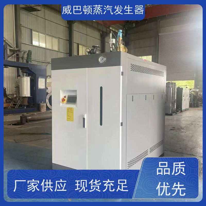  免特检 蒸馒头专用锅炉 水容积≤30L，合规又省心 食品厂