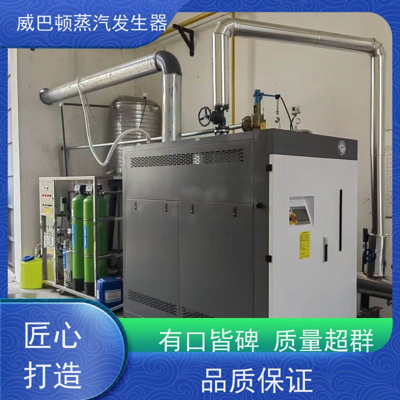  免登记 天然气锅炉设备 蒸汽干度 97% 混凝土养护