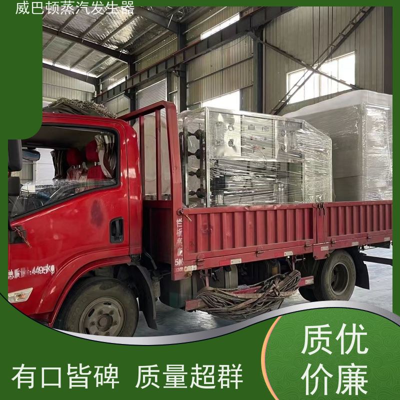  食品级 六吨蒸汽锅炉 热效率 101% 还省气 化工厂