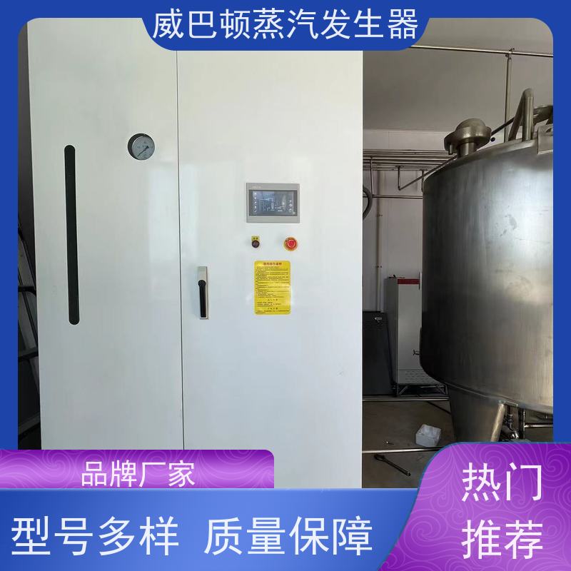  食品级 燃气蒸汽发生器 多台并联省气稳供 橡胶厂