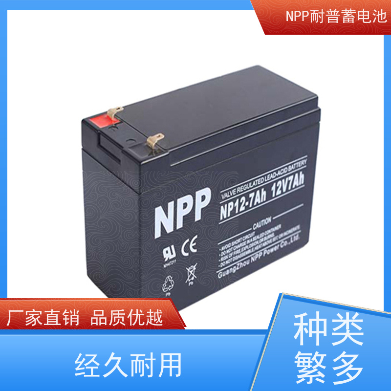 耐普电源 NPG12-200 适用机房储能蓄电 稳压应急备用