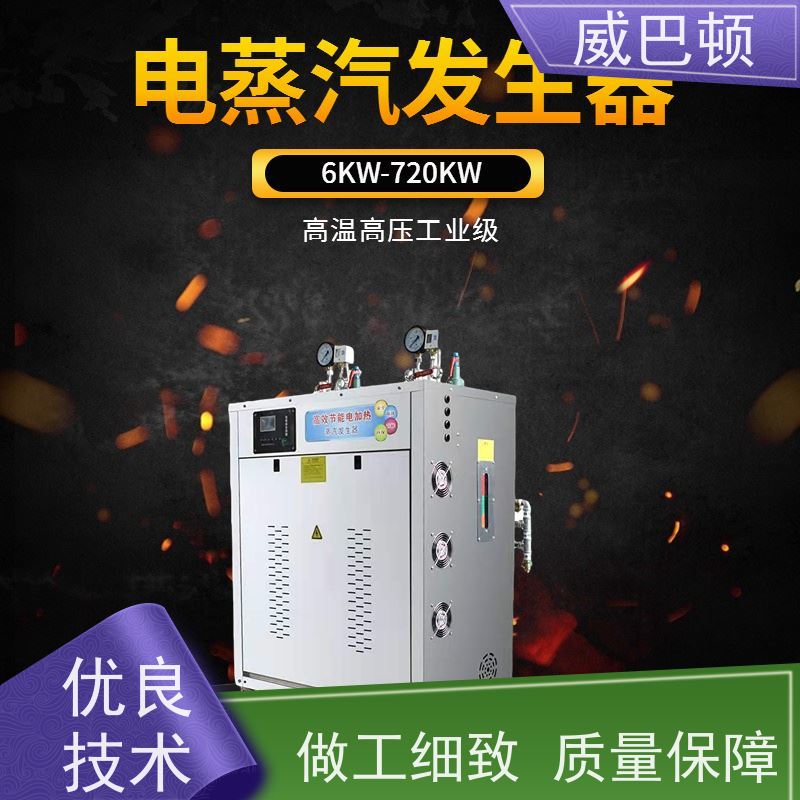  超温保护 高温蒸汽杀菌 不锈钢材质 电加热锅炉