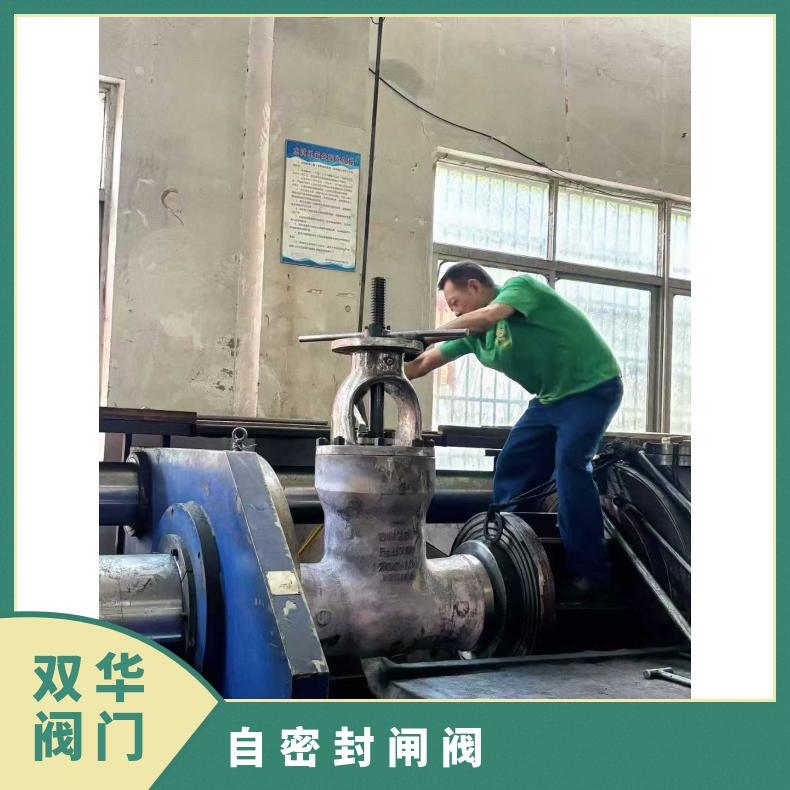 高温高压电站焊接闸阀Z561Y/Z962手电一体自密封铬钼钒钢耐磨冲刷