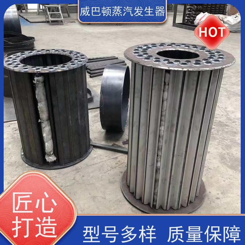  免登记 天然气锅炉设备 蒸汽干度 97% 豆腐腐竹加工厂