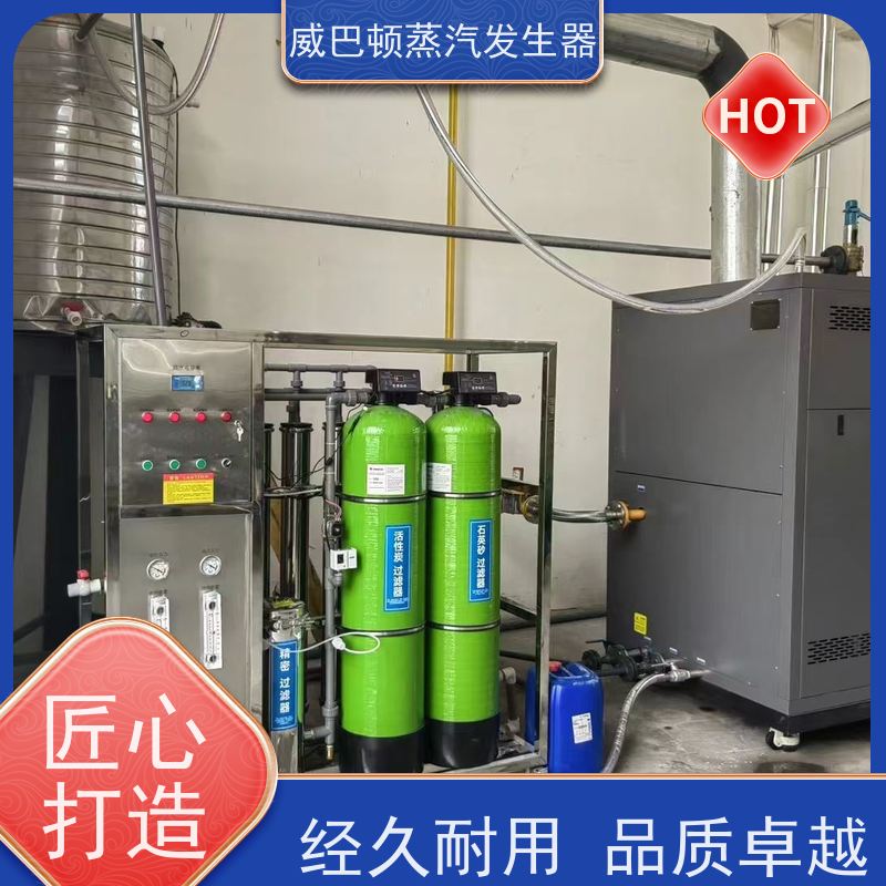 灭菌消毒 高压蒸汽发生器 NOx＜30mg 豆腐腐竹加工厂