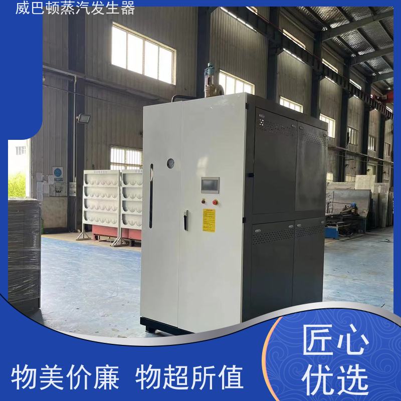  灭菌消毒 0.3T蒸汽发生器 水容积≤30L，合规又省心 豆腐腐竹加工厂