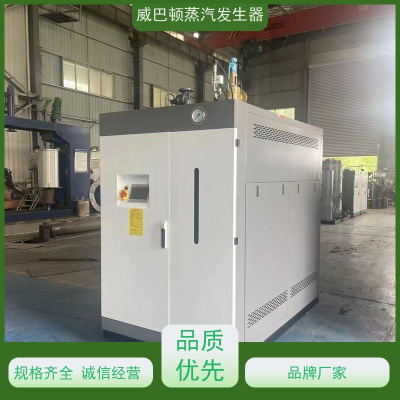  烘干熨烫 0.5T蒸汽发生器 变频控制 豆腐腐竹加工厂