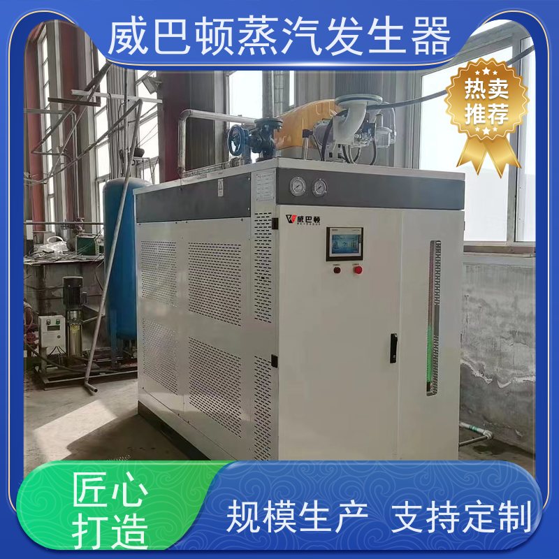  低氮冷凝 10吨天然气锅炉 蒸汽干度 97% 混凝土养护