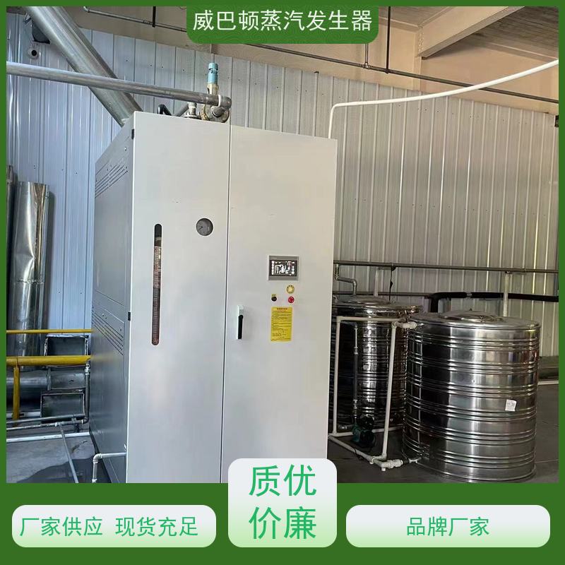  灭菌消毒 贯流蒸汽锅炉 水容积≤30L，合规又省心 大棚恒温
