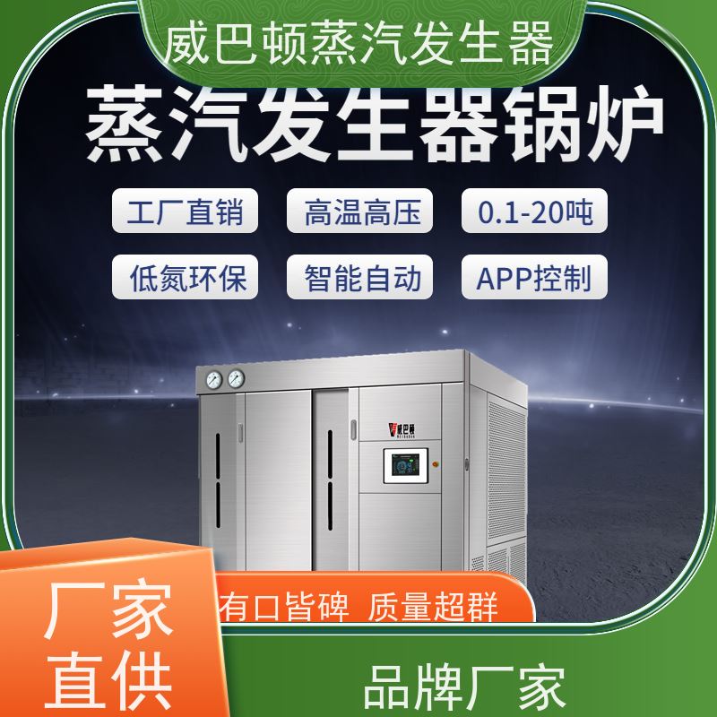  烘干熨烫 10吨天然气锅炉 水容积≤30L，合规又省心 高温高压