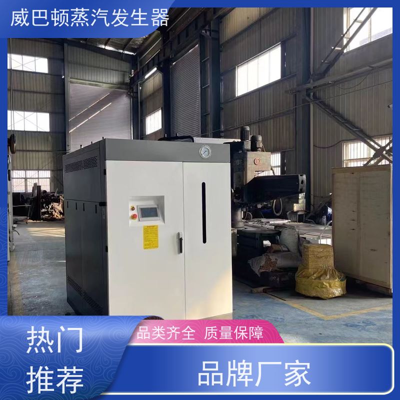  低氮冷凝 贯流蒸汽发生器 体积小一半全 豆腐腐竹加工厂