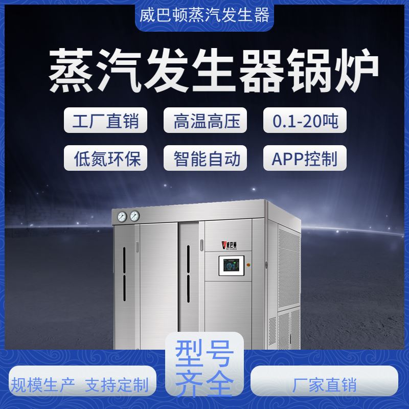  灭菌消毒 天然气锅炉 多台并联省气稳供 大棚恒温