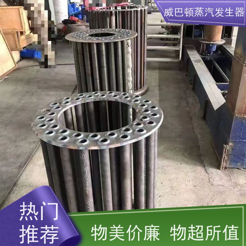  食品级 1吨燃气热水锅炉 蒸汽干度 97% 饲料行业