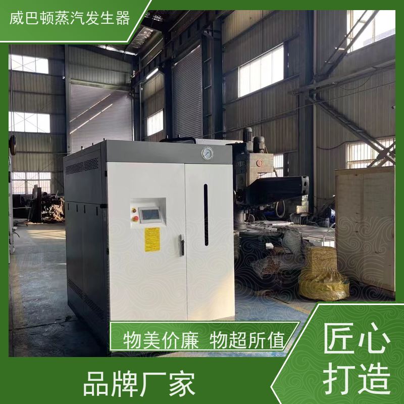  洗涤熨烫 新能源环保锅炉 省气 30% 豆腐腐竹加工厂