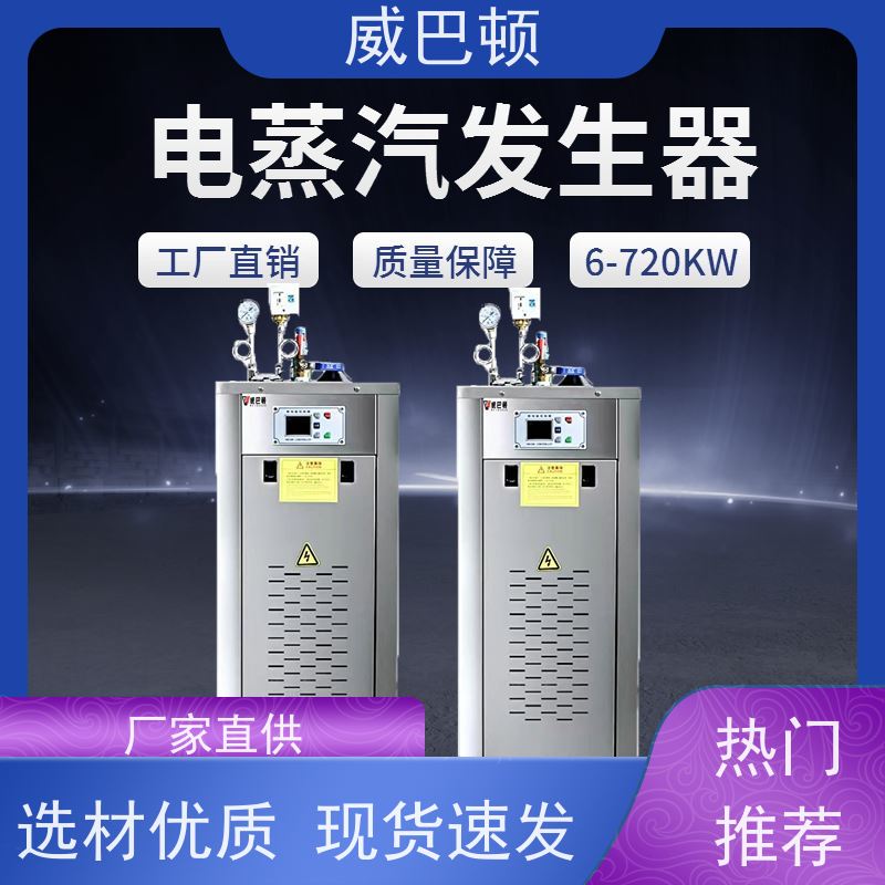  科研实验室 高压7公斤 超温保护 24千瓦电蒸汽发生器
