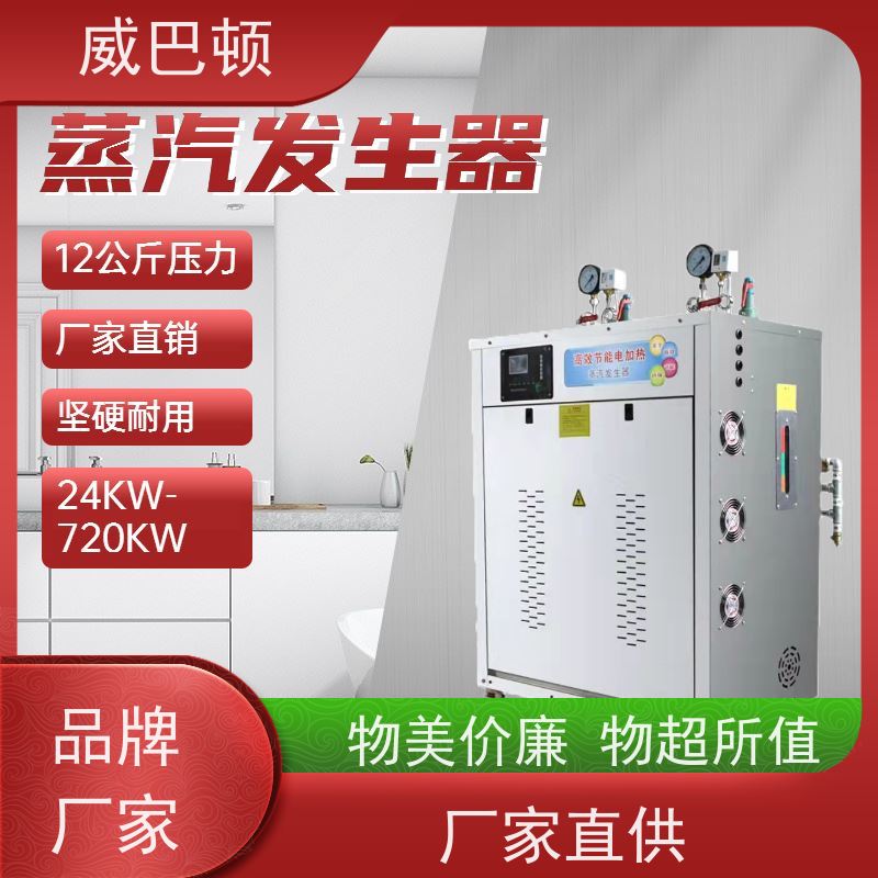 模块化电蒸汽发生器占地仅1㎡ 组合设计 304 不锈钢内胆 电加热锅炉