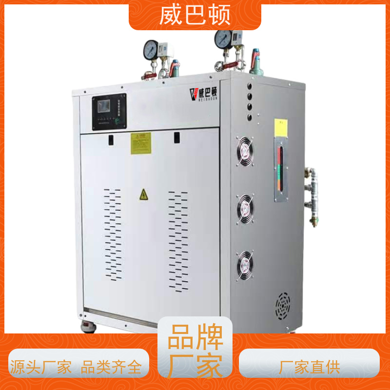 304 不锈钢内胆 饲料加工 组合设计 1吨电蒸汽锅炉