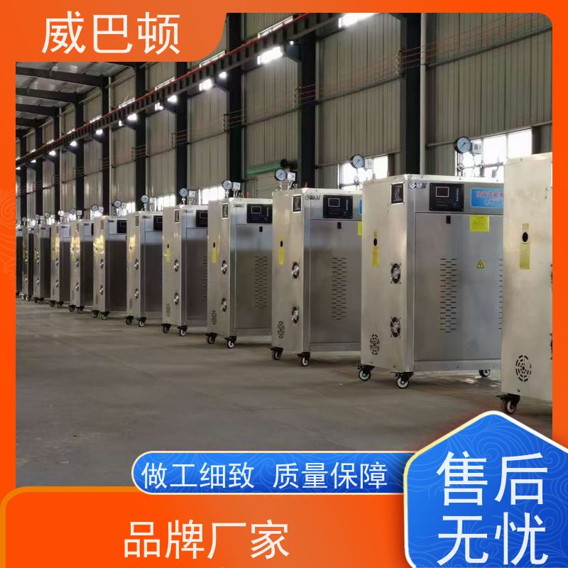  304 不锈钢内胆 +智能控温 免特检 便宜的电蒸汽发生器