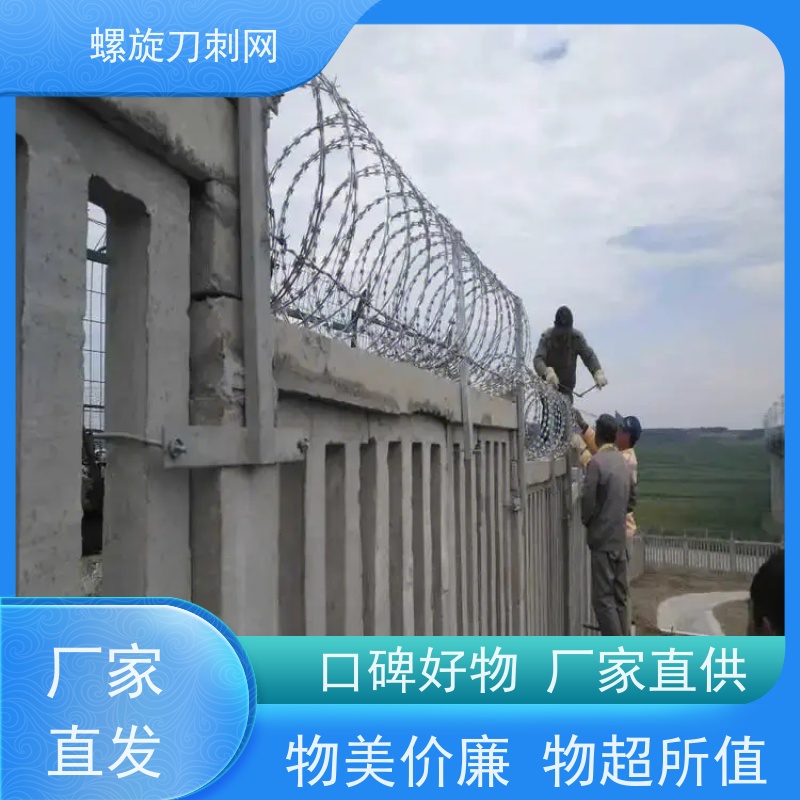 防护网带刺铁丝滚笼275g刀刺网高铁304不锈钢刀片刺绳材质