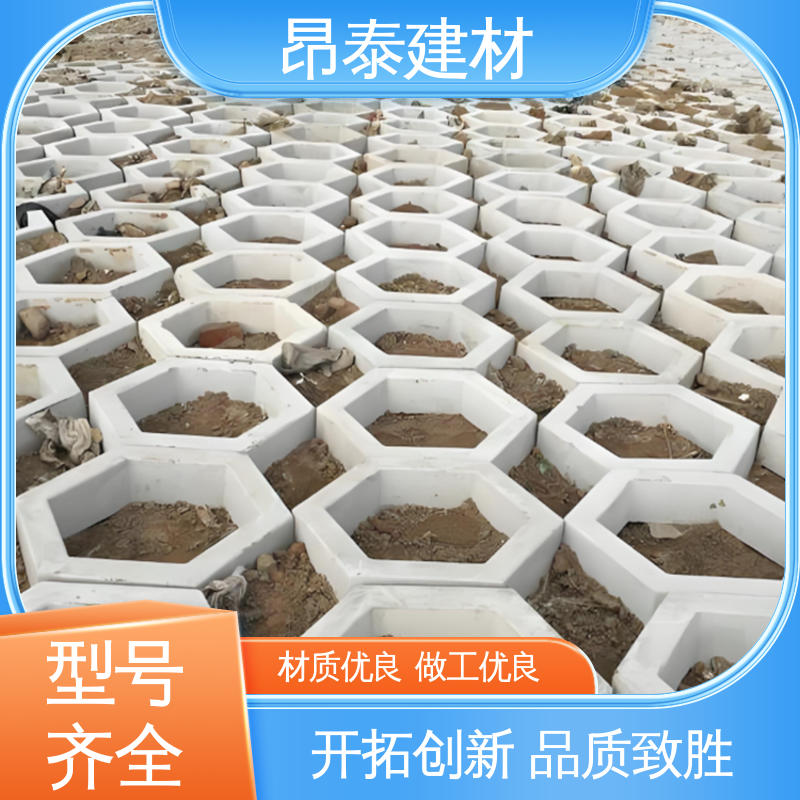 实力商家 六棱护坡砖 不易变形 尺寸按需生产 承压能力强