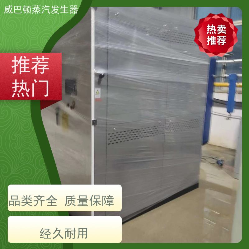  新型国标 液化气蒸汽发生器 热效率 101% 还省气 豆腐腐竹加工厂