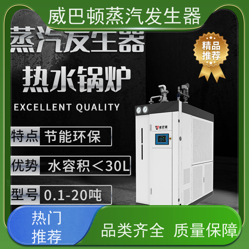  免备案 小型锅炉 水容积≤30L，合规又省心 造纸厂