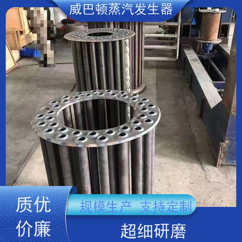  节能环保 洗衣房锅炉 热效率 101% 还省气 制药厂