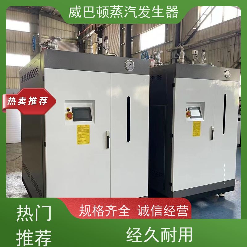  洗涤熨烫 六吨蒸汽锅炉 省气 30% 豆腐腐竹加工厂