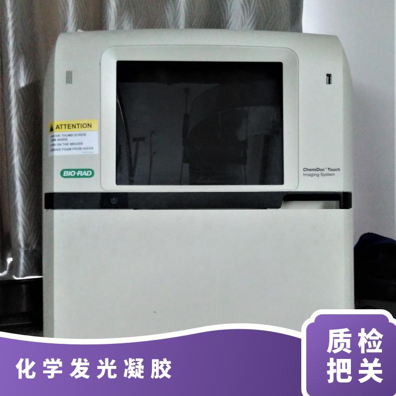 Bio-Rad伯乐ChemiDocMP荧光化学发光凝胶成像系统