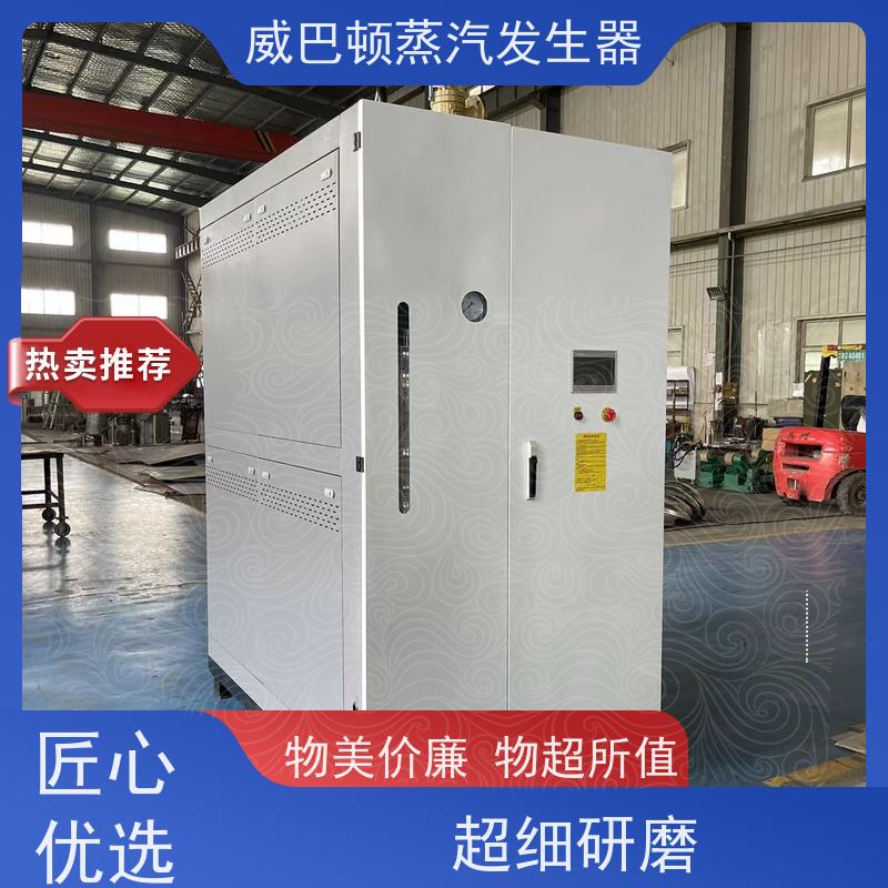  洗涤熨烫 5T蒸汽发生器 热效率 101% 还省气 化工厂