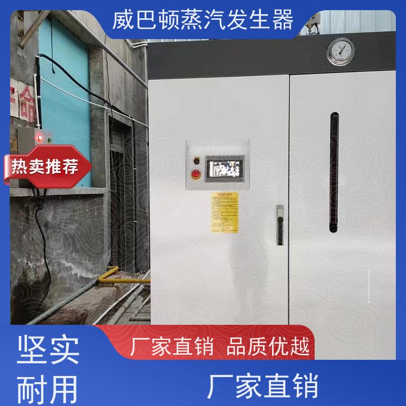  洗涤熨烫 8T蒸汽发生器 水容积≤30L，合规又省心 橡胶厂