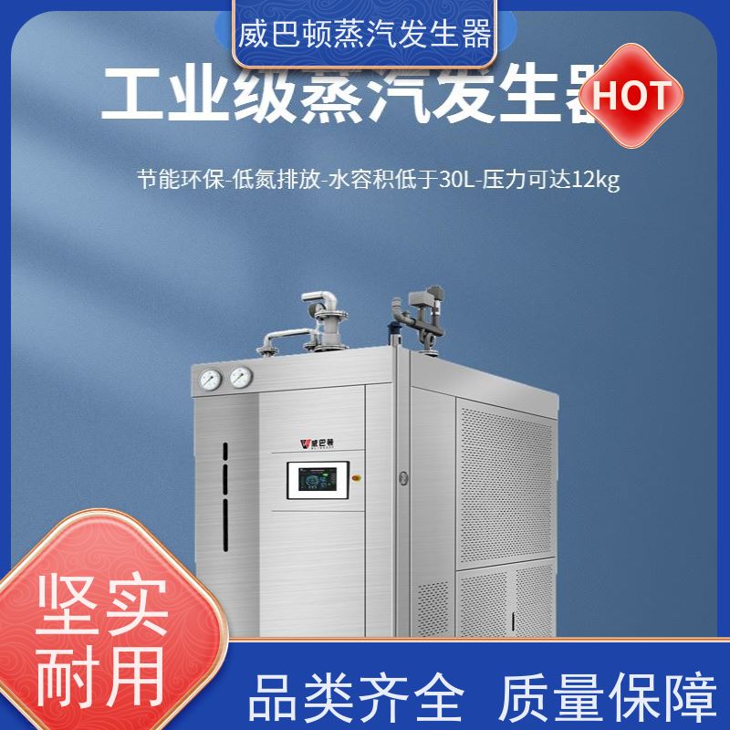  食品级 0.6T蒸汽发生器 热效率 101% 还省气 饲料行业