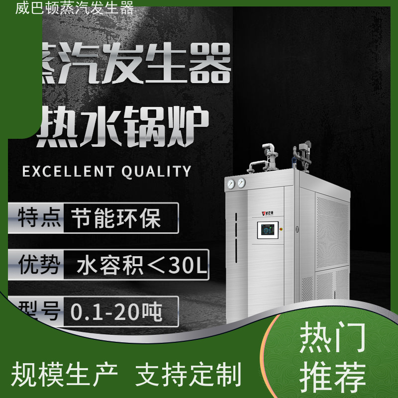  灭菌消毒 新能源环保锅炉 体积小一半全 混凝土养护