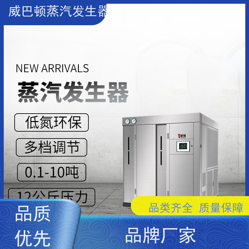  新型国标 节能蒸气炉 多台并联省气稳供 食品厂