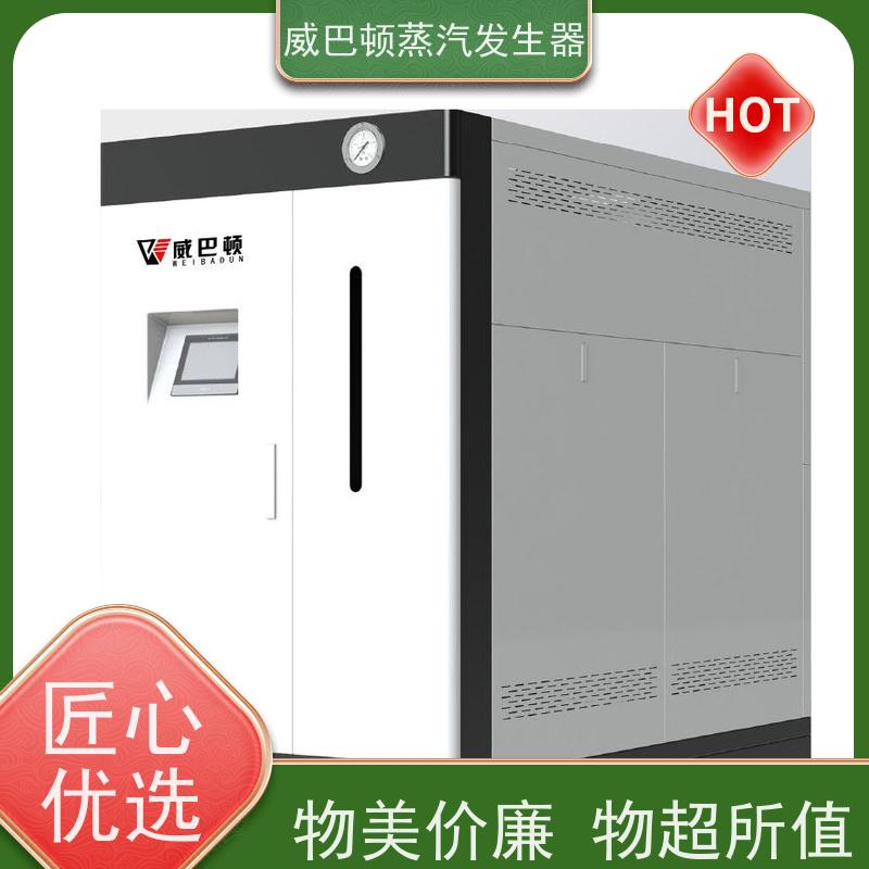  低氮冷凝 贯流蒸汽锅炉 体积小一半全 混凝土养护