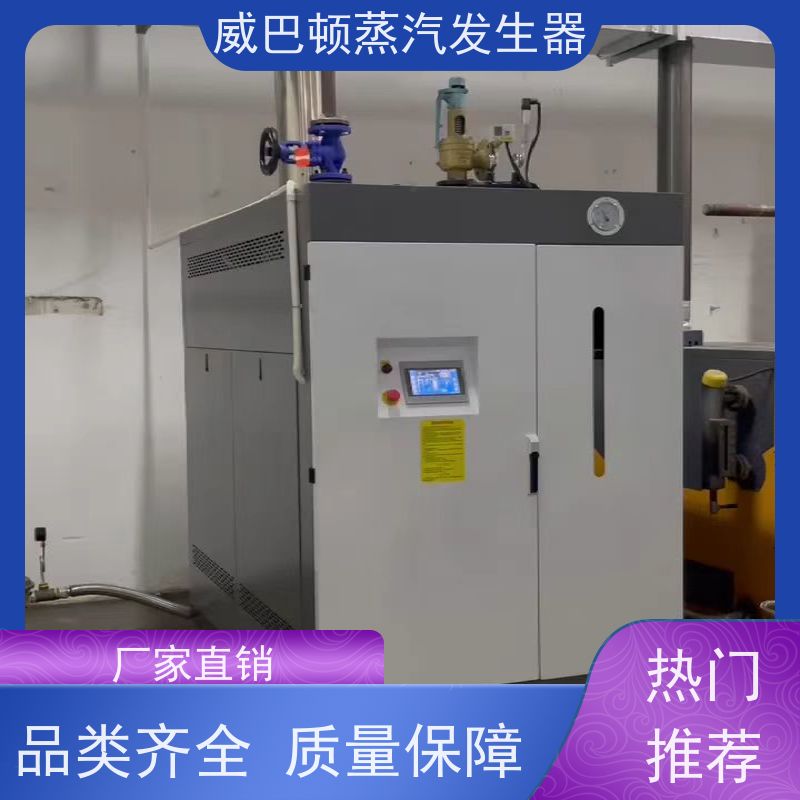  低氮冷凝 10T蒸汽发生器 多台并联省气稳供 饲料行业