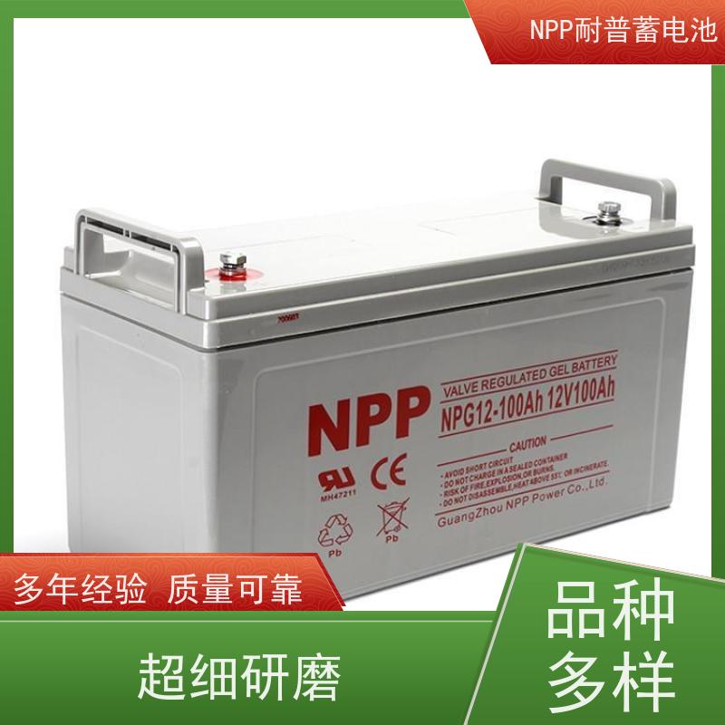 发电机电池 NPG12-65 适用光伏通信消防 维护保养