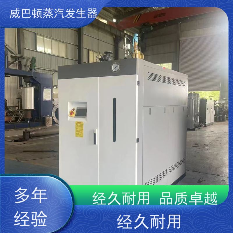  灭菌消毒 5T蒸汽发生器 热效率 101% 还省气 印染厂