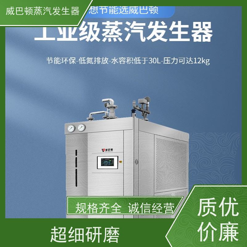  灭菌消毒 全不锈钢锅炉 多台并联省气稳供 酿酒厂