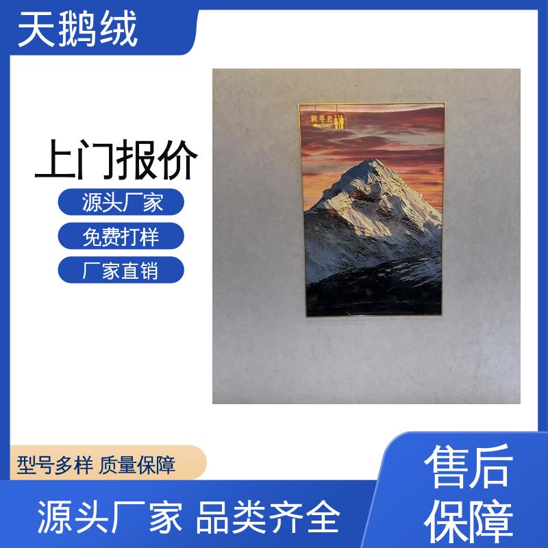 威乐森 绒面艺术漆 7天 完全固化 白色 厂家供应 现货充足
