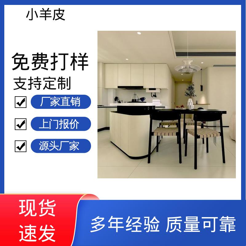 威乐森 小羊皮艺术涂料 施工温度 5-35℃ 规格齐全 诚信经营