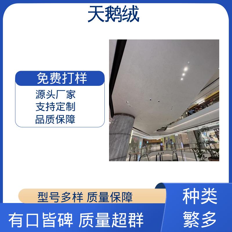 威乐森 艺术漆的品牌 7天 完全固化 白色 厂家供应 现货充足