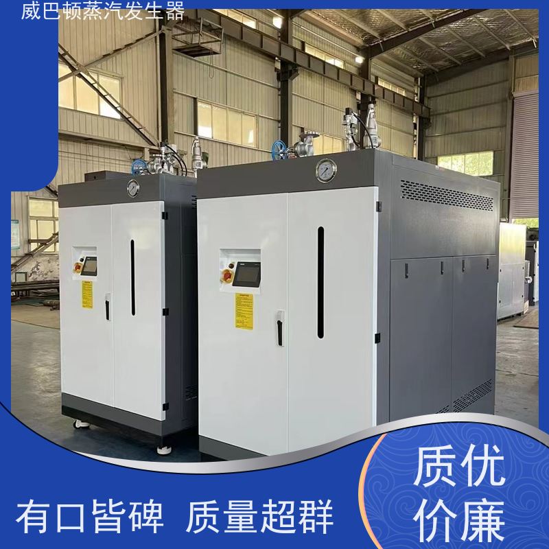  洗涤熨烫 液化气蒸汽发生器 水容积≤30L，合规又省心 酿酒厂