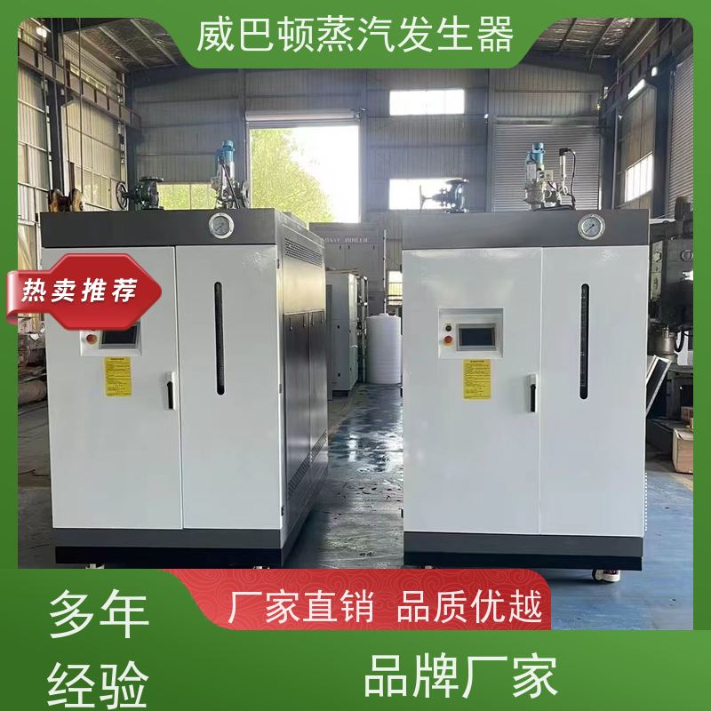  低氮冷凝 0.6T蒸汽发生器 热效率 101% 还省气 酿酒厂