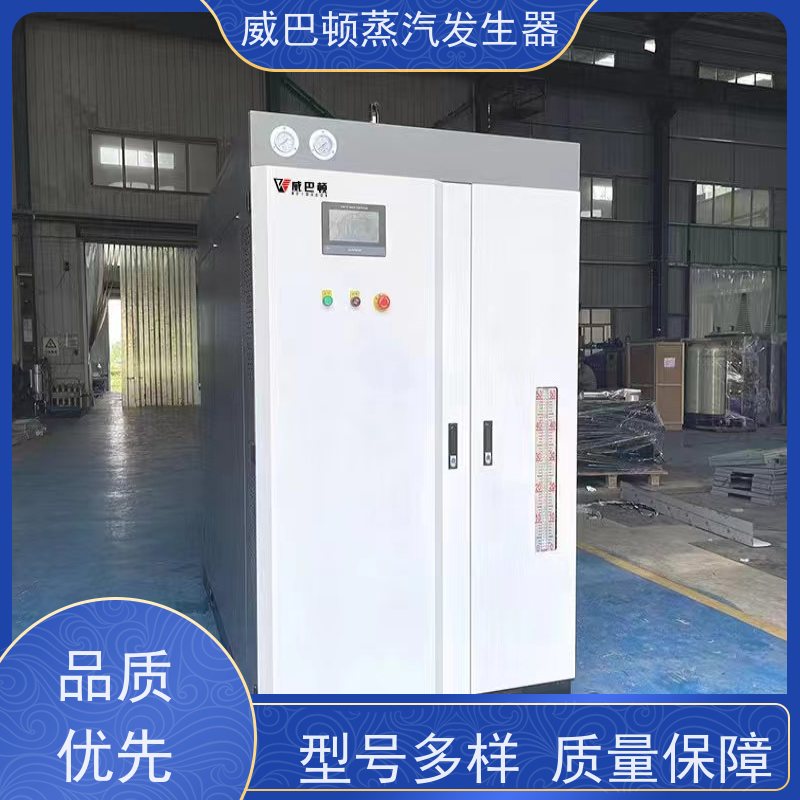  洗涤熨烫 洗衣房锅炉 水容积≤30L，合规又省心 橡胶厂
