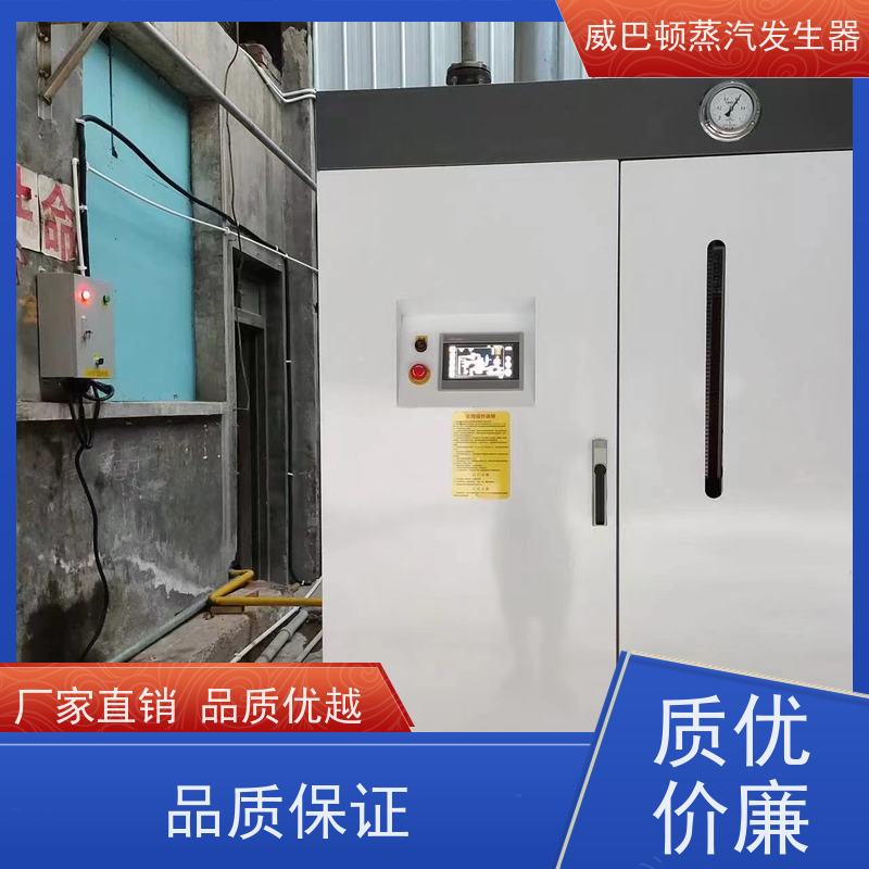  免特检 0.6T蒸汽发生器 多台并联省气稳供 造纸厂