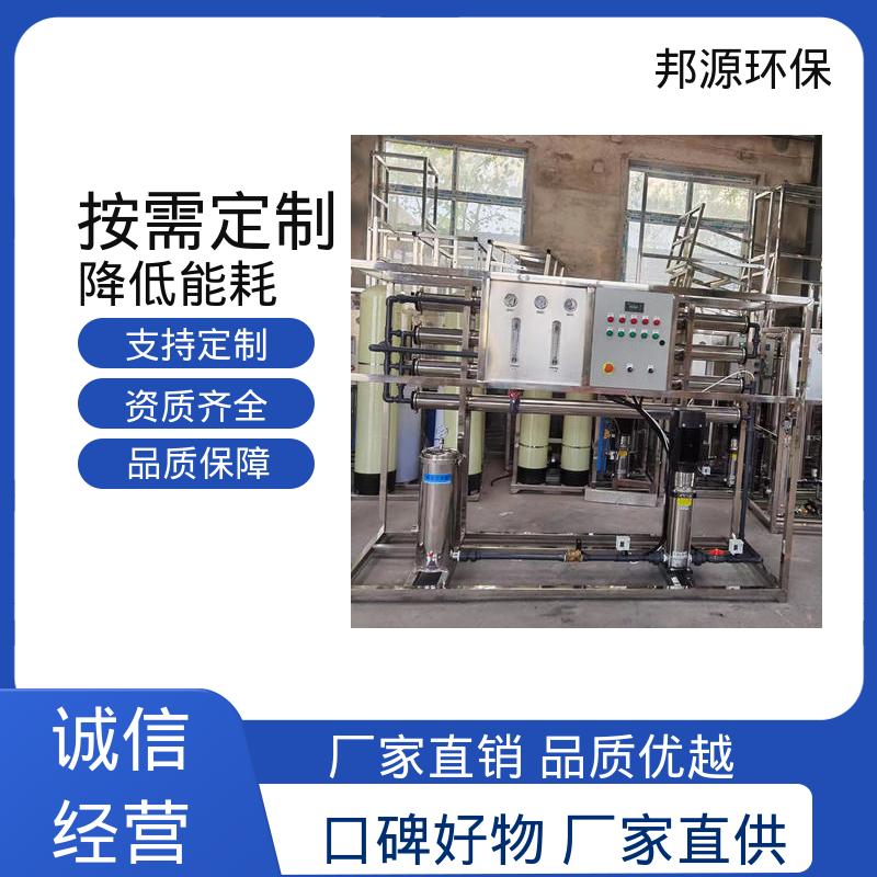按需定制 反渗透超纯水设备 自动冲洗 邦源环保